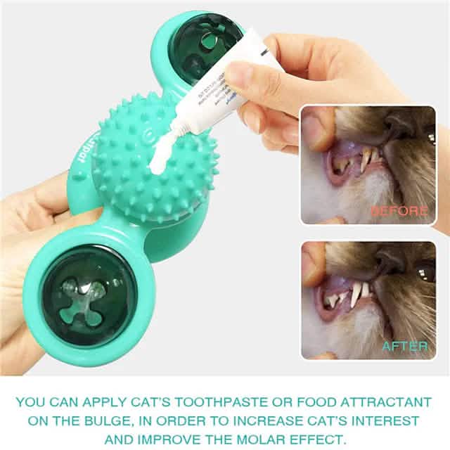 Cat Teases Interactive Pet Toy